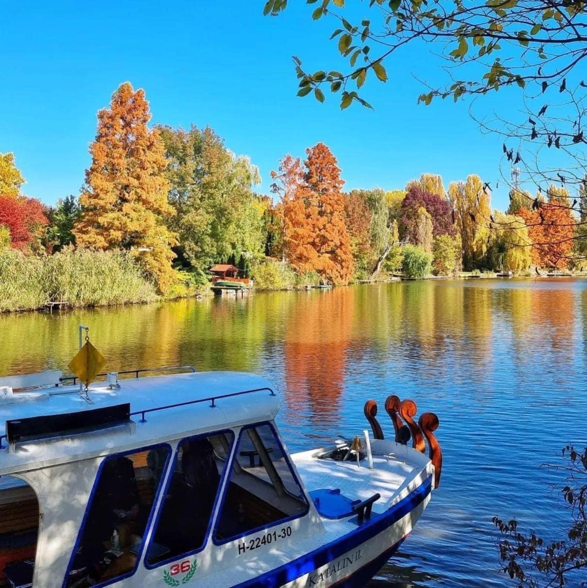 Csuka48 Apartman Sarvaš Exteriér fotografie